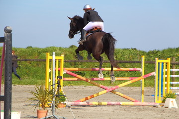 Saut d'obstacle lors d'un concours hippique