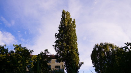 Pforzheim