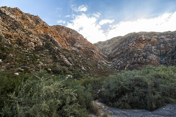 Stony desert of Klein Karoo in South Africa