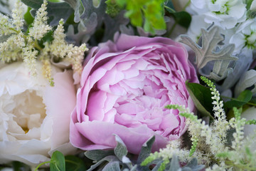 Pink peony