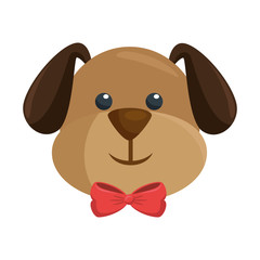 cartoon dog icon over white background vector illustration