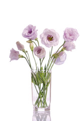 bunch of pale violet eustoma flowers in glass vase isolated on white