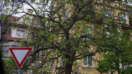 Pforzheim 