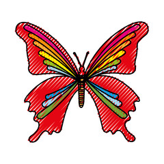 scribble butterfly cartoon vector graphic design icon