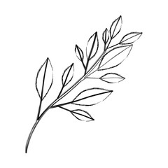 monochrome blurred silhouette of branch with leaves vector illustration