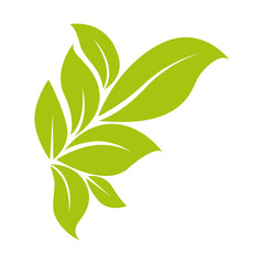 leaves icon over white background colorful design vector illustration