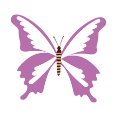 cute purple butterfly cartoon vector graphic design