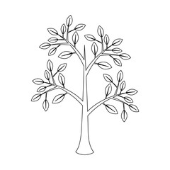 tree icon over white background vector illustration