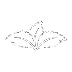 leaves icon over white background vector illustration