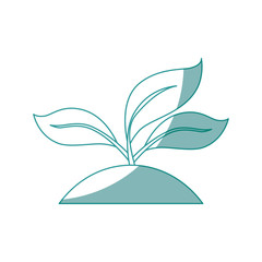 plant with leaves icon over white background vector illustration