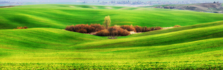 Green field