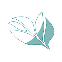 leaves icon over white background vector illustration