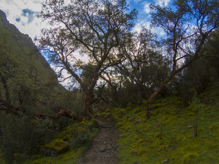 Lake 69 Trekking