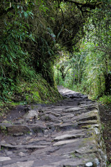 Cuzco Region Machu Pichu