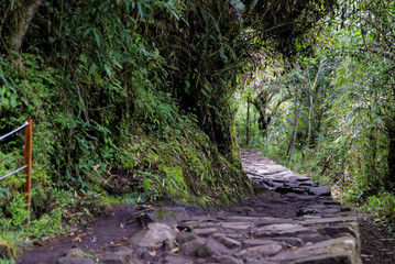 Cuzco Region Machu Pichu