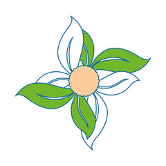 leaves icon over white background colorful design vector illustration