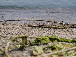 water lapping on the shore, peacefully tranquillity concept 