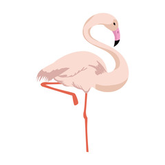 flamingo bird icon over white background colorful design vector illustration