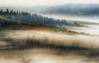 Carpathian morning