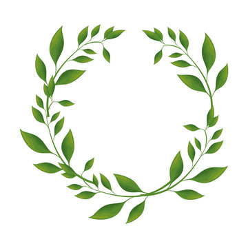 wreath of leaves icon over white background colorful design vector illustration