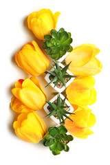 Composition with fresh yellow tulips and succulents on white background