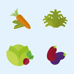 Vegan food nature restaurant fruit vegetarian healthy diet vegetable vector illustration