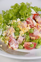 Many Ingredient salad