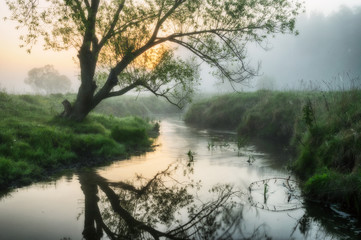 Fototapeta na wymiar river. Spring morning by the picturesque river, golden rays in the fog