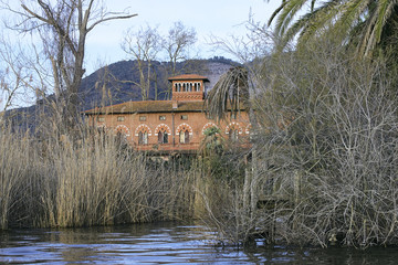 detail of beautiful villa in massaciuccoli lake