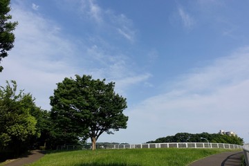 初夏の公園散歩