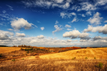 Autumn field. Picturesque hilly field. A birch grove and a beautiful sky