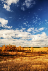 Autumn field. Picturesque hilly field. A birch grove and a beautiful sky