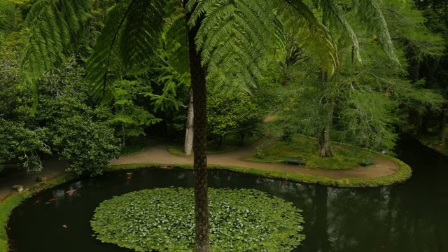 The Garden of Eden on Earth - Panning shot of the awe-inspiring Parque Terra Nostra park in Sao Miguel, The Azores, Portugal. The Azores are one of the hidden gem destinations in Europe.