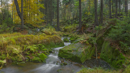 ein nicht ständig Wasser führender Bach, der aber nach reichlich Niederschlägen durchaus gefährliches Hochwasser führen kann