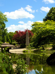 Rheinaue Bonn