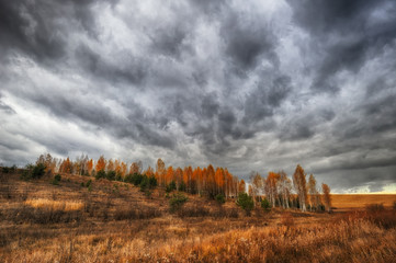 Autumn field. Picturesque hilly field. A birch grove and a beautiful sky