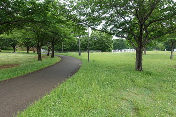初夏の散歩道