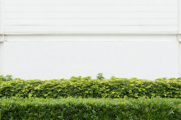 Street, Banner - Sign, Lighting Equipment, Billboard, Advertisement,Large blank billboard on a street wall,  banners with room to add your own text