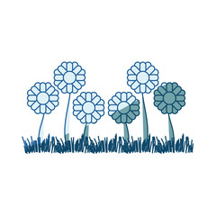 blue shading silhouette of sown of abstract sunflowers with thick contour vector illustration