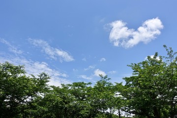 初夏の青空
