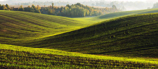 Hilly field. Autumn dawn in the field. Quiet morning in a picturesque field