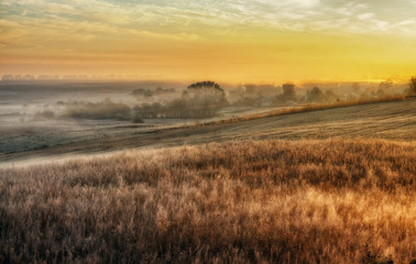 Autumn morning. Foggy dawn in a picturesque field