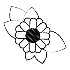 monochrome blurred silhouette of abstract sunflower with leaves in closeup vector illustration