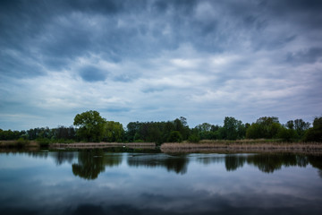 Fototapeta na wymiar Trees on the pond Raszynski near Warsaw, Poland