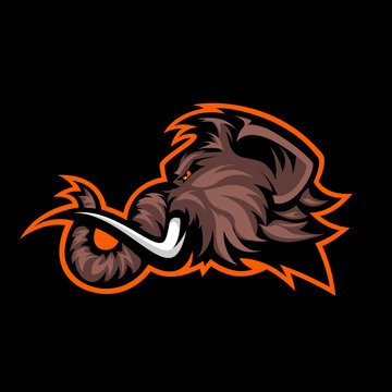 Furious woolly mammoth head sport vector logo concept isolated on black background. Modern professional mascot team badge design.
Premium quality wild animal t-shirt tee print illustration.