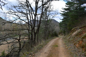 chemin vers Nant