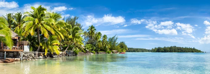 Fototapeten Palmenstrand und Meer als Panorama Hintergrund © eyetronic