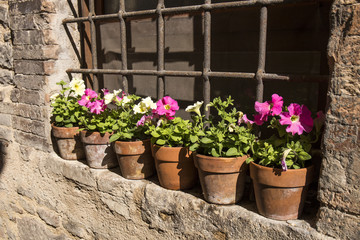 Fototapeta na wymiar Floral streets of Spello in Umbria, Italy.