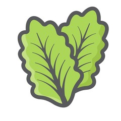 Lettuce colorful line icon, vegetable and salad leaf, vector graphics, a filled pattern on a white background, eps 10.
