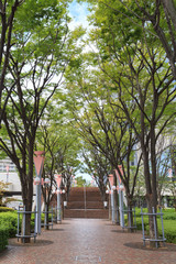 Fototapeta premium 大阪ビジネスパーク -都市風景-